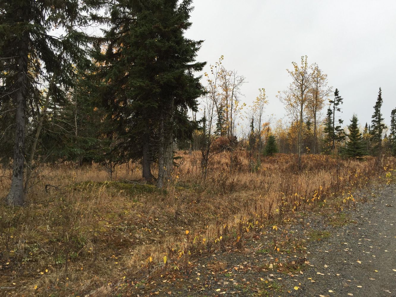 63885 Tailwind Rd, Ninilchik, AK 99639